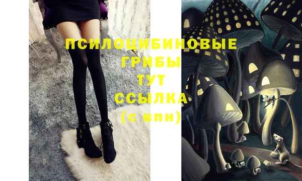 дживик Беломорск