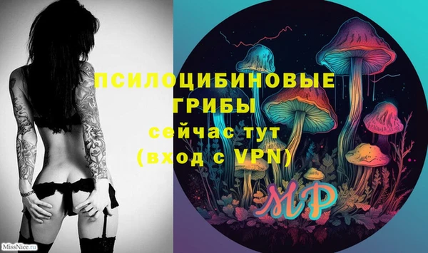 дживик Беломорск