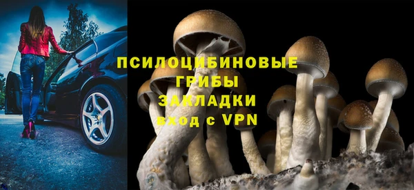 дживик Беломорск